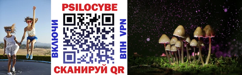 Купить где  Владикавказ  Галлюциногенные грибы Magic Shrooms 